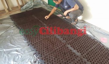 Proses mengisi benih cilibangi ke dalam lubang dulang semaian.